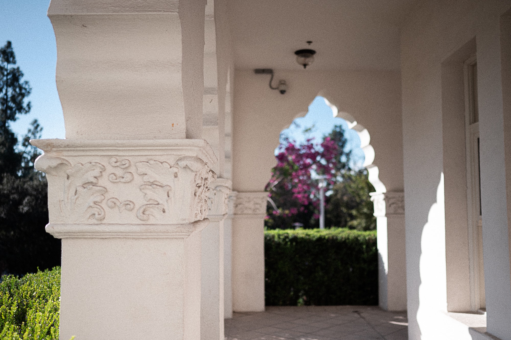 Brand Park with its Expansive Greenery and Beautiful Architecture is Perfect for Memorable Engagement Photos