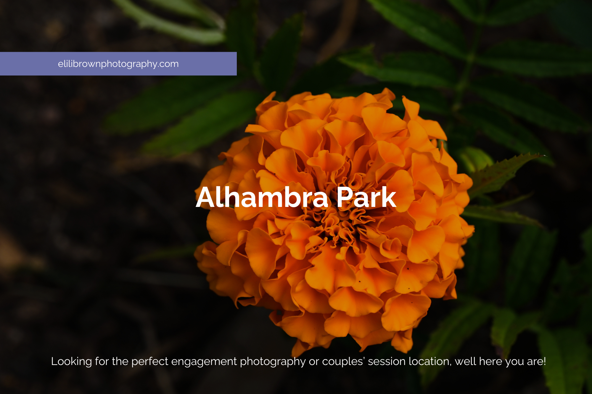 Alhambra Park: The Perfect Engagement Photography Spot for Love Stories